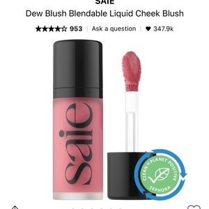 Saie blush in chilly